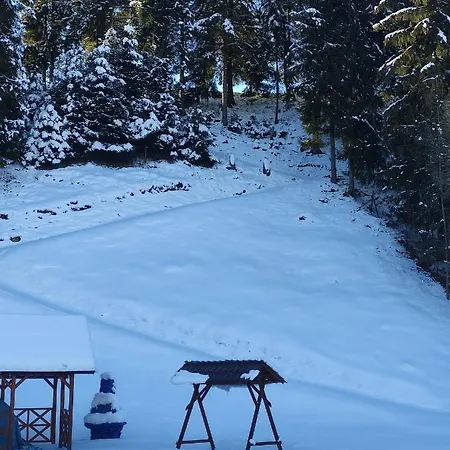 Penzion Orchidea Gasthof *